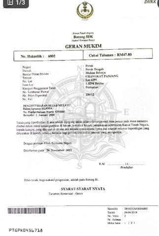 Kebun Sawit 1