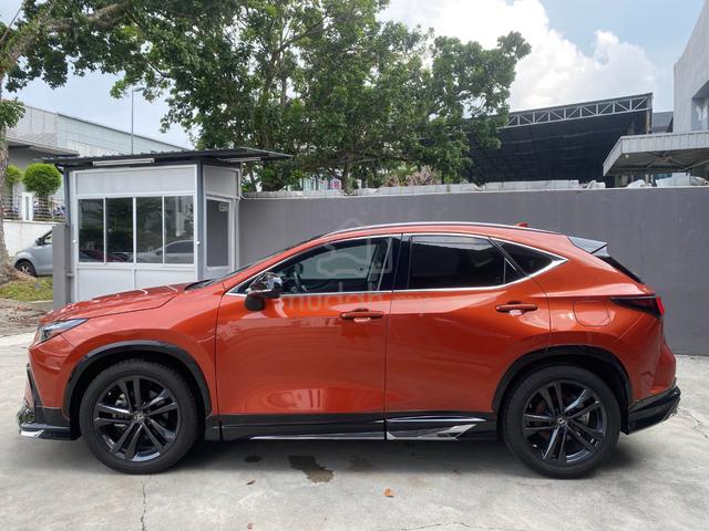 2022 Lexus NX250 VERSION L FREE TINTED - 5