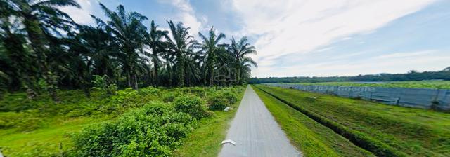 11 acres + Zoning Residential Land at Bukit Panchor | FOR SALE 1