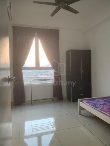 Tropicana Bay Single Room For Rent 1
