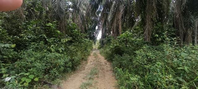 Tanah 2.3 Ekar Kampung Balon Slim River, Perak 1