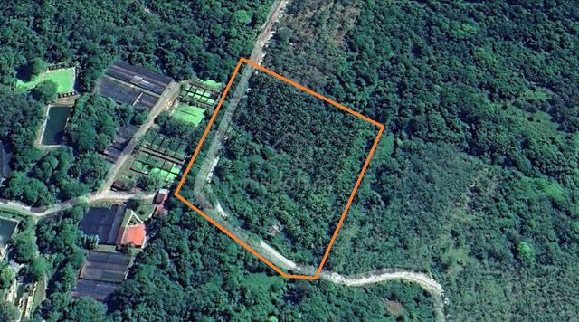 Agricultural Land 3.75ac, Kubang Badak, Langkawi [Near Datai Beach] 1