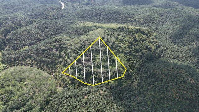 Tanah Pertanian 8 ekar di Luit Maran 1