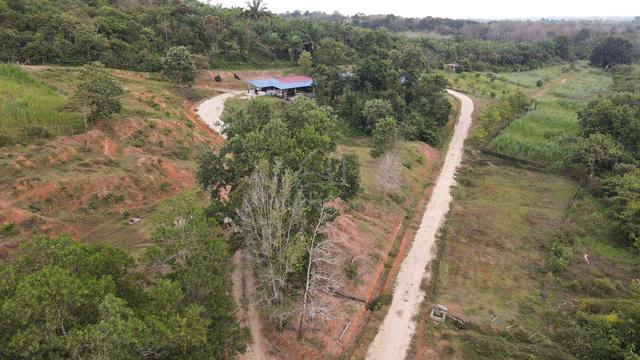 BELOW MARKET Tanah Pertanian Access Jalan Bukit Songsang Temerloh 1