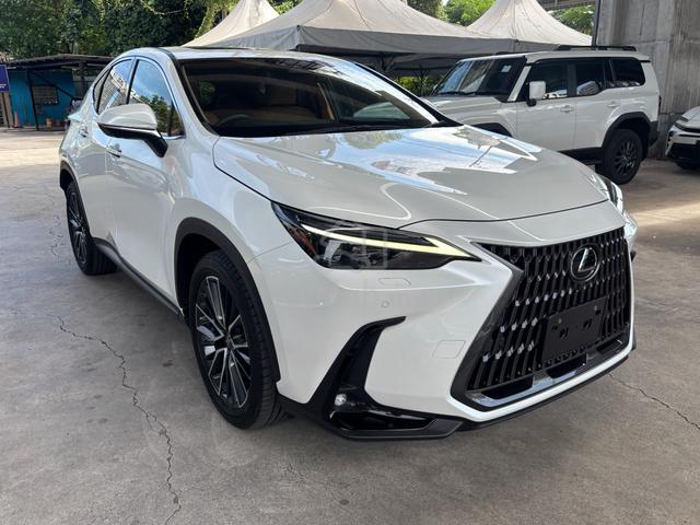 2023 Lexus NX250 2.5 VL/Version L (A) - 4