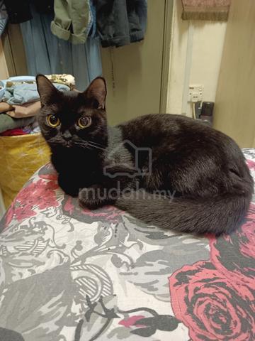 Carousel Image Selected
