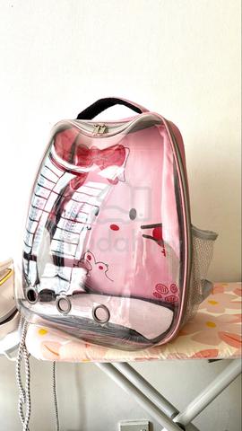 Carousel Image Selected