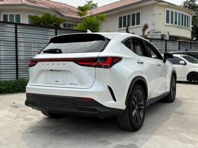 2022 Lexus NX250 LUXURY 5A SPEC 7k Low Mileage - 4