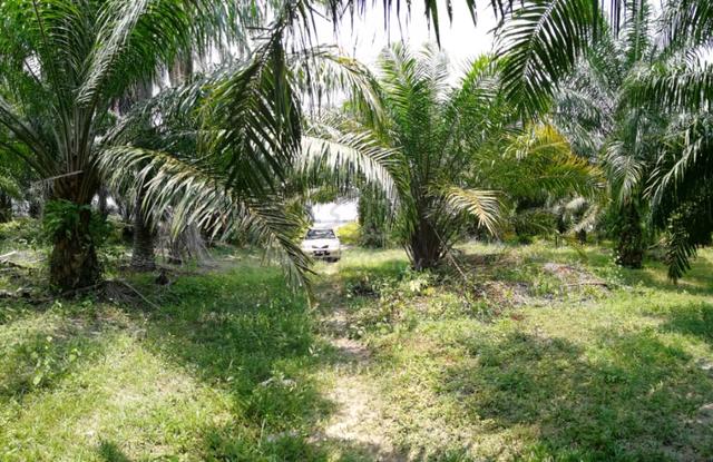 Tanah untuk dijual KLIA 1