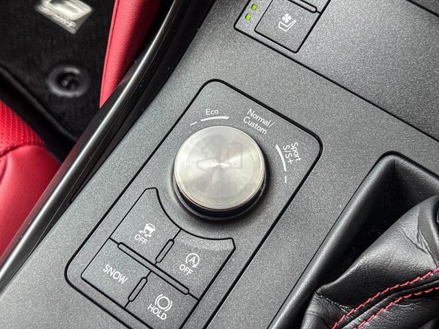 2021 Lexus IS300 2.0 F-SPORT * RED LEATHER - 5