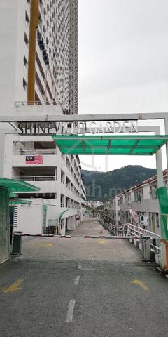 Shineville Garden 1