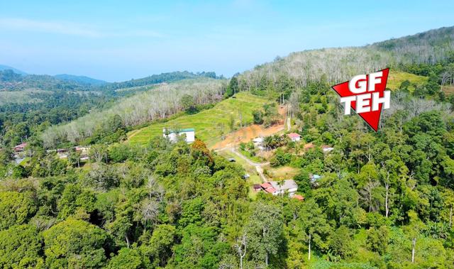 6.96 acre Lowest Price Agricultural Land | Pengkalan Hulu | Perak 1