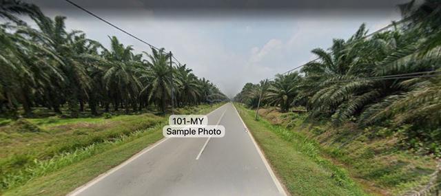 Value Buy 1.54 acres Agriculture Land Kampung Permatang Kuala Selangor 1