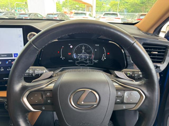 2023 Lexus NX250 2.5 VL MARK LEVINSON BODYKITS - 5