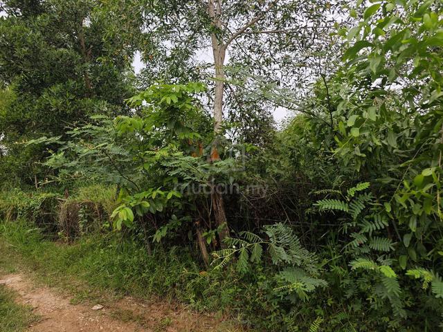 Sabah Tuaran Residential Freehold Land For Sale 1