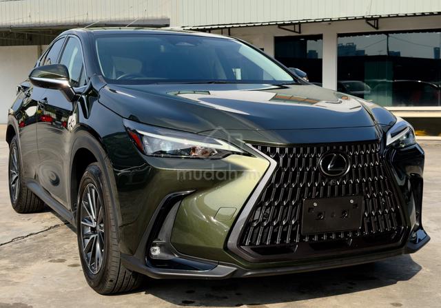2023 Lexus NX250 2.5 BASE/Army Green/Dim/4Cam - 2