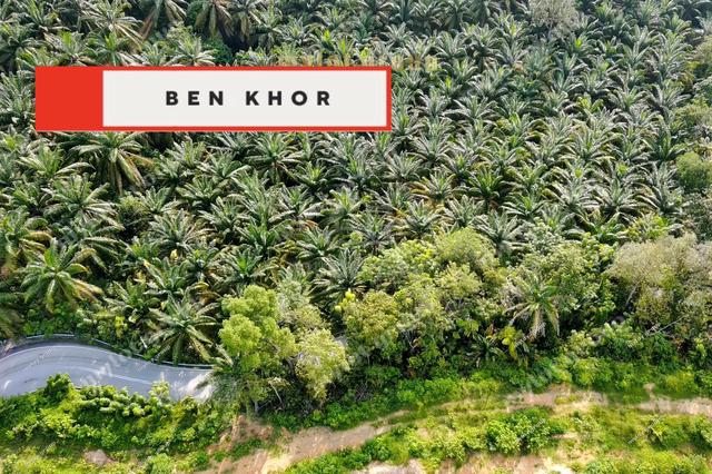 4.63 Acres | MainRoad| Jalan Gajah Mati | Machang Bubuk | BM | PENANG 1