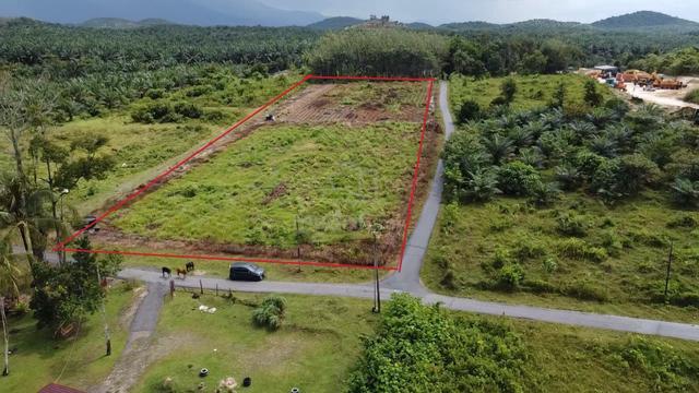 Tanah Pertanian Di Mukim Tawar, Baling, Kedah 1