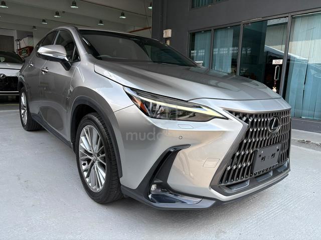 2023 Lexus NX250 2.5 LUXURY/360CAM/AC SEATS - 1