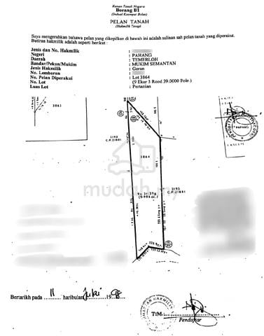 9.99375Ekar Sawit Freehold Tepi Jalan Besar 1