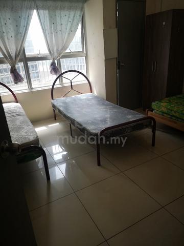 Kerinchi residensi share room only 1