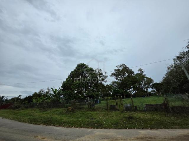 芦骨2亩榴莲芭 PD Lukut 2 Acres Durian Farm, asphalt roadside TNB & Water 1