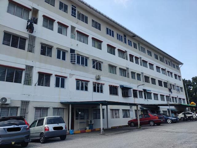 Flat Casurina 1