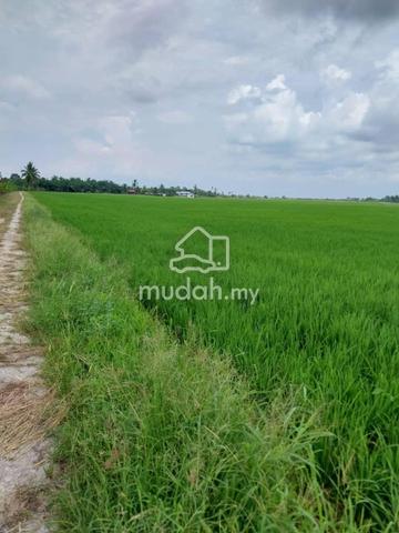 LOKASI STRATEGIK!!! Tanah Sawah Parit 9, Sungai Besar, Selangor 1