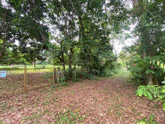 Tanah pertanian dusun Buah-Buahan 1.2 ekar 1