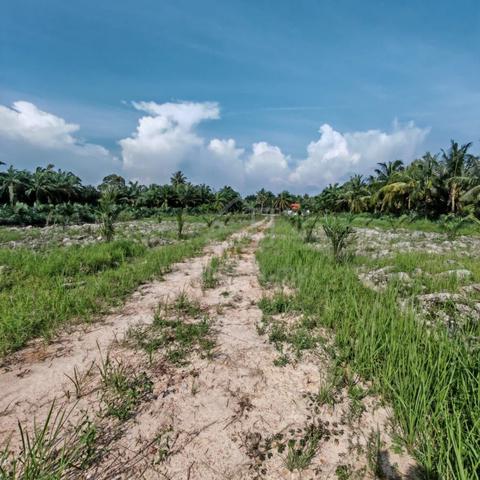 MURAH! Tanah 1 Ekar, Sungai Sireh, Tanjong Karang 1