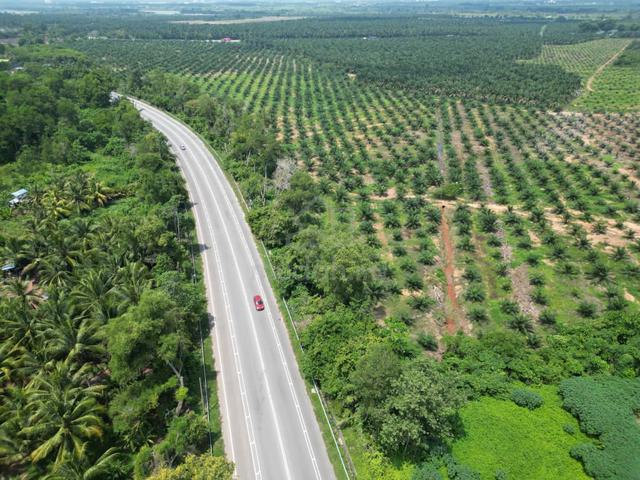 Tikam Baru Facing Mainroad Agriculture Land For Sale 1