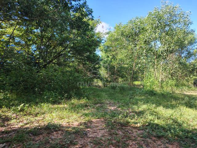 Agriculture Land Bemban Jitra For Sale 1