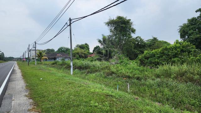 Tanah Tapak Rumah 0.5 ekar Teluk Mahkota Sedili Besar Kota Tinggi 1