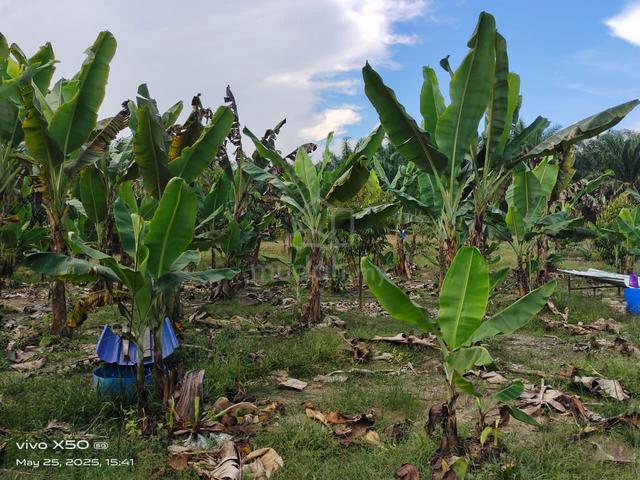 2.2 acre land @ Jalan Rantau to Pedas, Ulu Kanchong, Rantau, N9 2