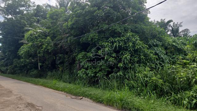 First Grade Zoning Residential 3.9 Acres Kepala Batas 1