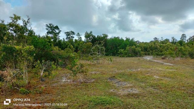 Tanah Untuk Disewa Kg Nyior Paka 1