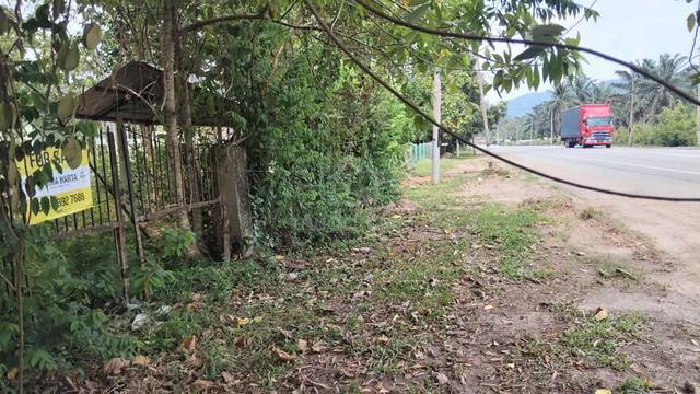 Tanah Tepi Jalan Padang Rengas 1