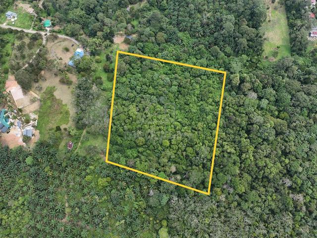 Tanah Pertanian 6.08 ekar di Kg Sepak, Kota Tinggi [MURAH, DEKAT KG] 1