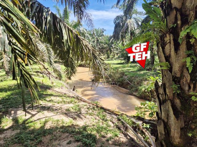 3.94 acre Agricultural Land | Beside River | Selama | Perak b 1