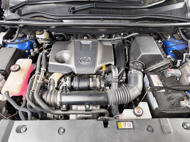2021 Lexus NX300 2.0 F SPORT MARK LEVINSON PANROOF - 4