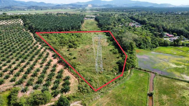 Agriculture land non bumi lot...Suitable for all 1