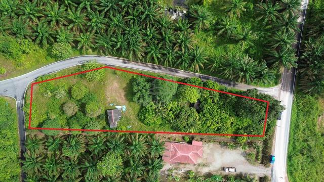 TANAH DUSUN : KG DESA HARAPAN BUKIT BATU KULAI / SEDENAK - 0.6 ekar 3