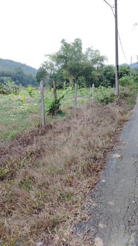 tanah ladang dusun  1