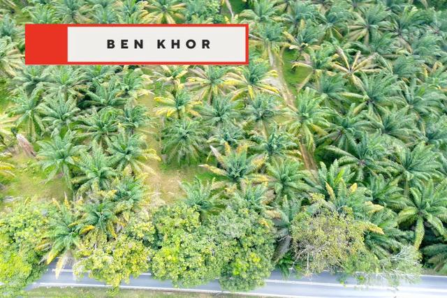 6.73 Acres| Agricultural Land | Jalan Gajah Mati | BM | PENANG 1