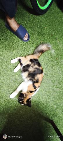 Carousel Image Selected