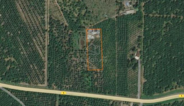 3 Ekar Tanah Pertanian Kelapa Sawit Bersama FIDLOT, Linggi PD For Sale 1