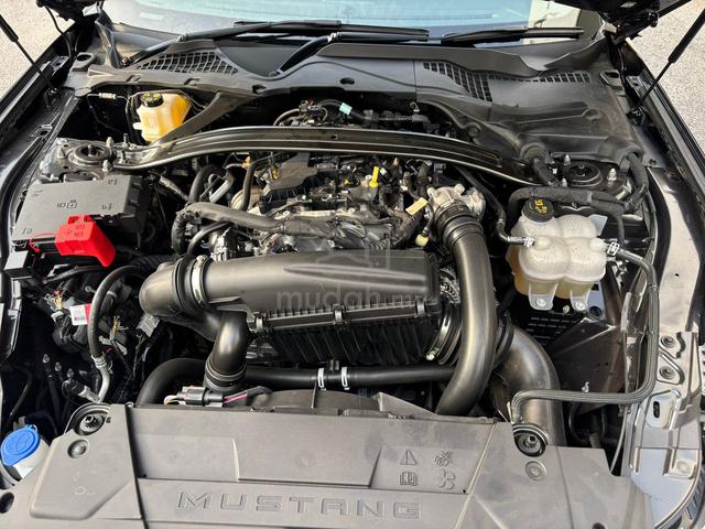 2025 Ford MUSTANG 2.3 ECOBOOST (A) - 4