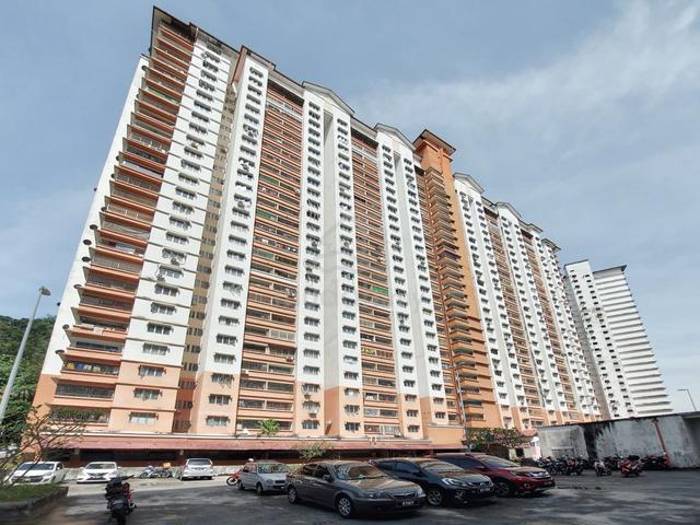 Flora Damansara 1