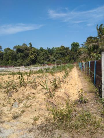 land for rent 1