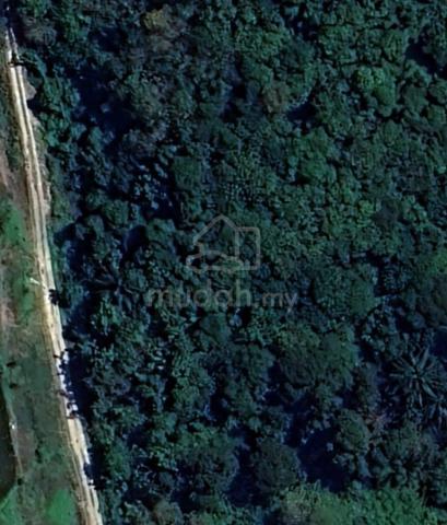 Semenyih Sg Lalang Agricultural Land For Sale 1